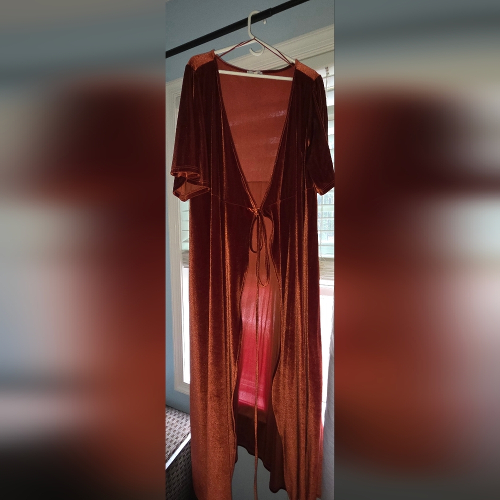 Baltic Born Rust Velvet Gown